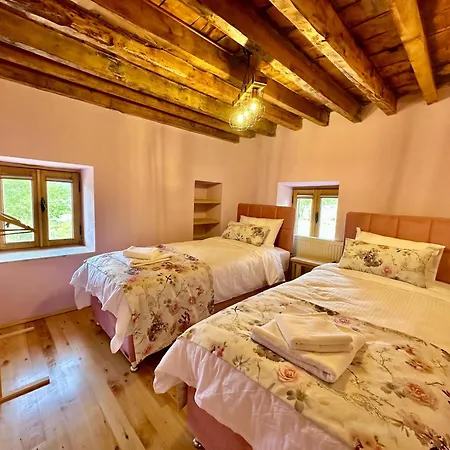 Apartman Kus Tuenegi *