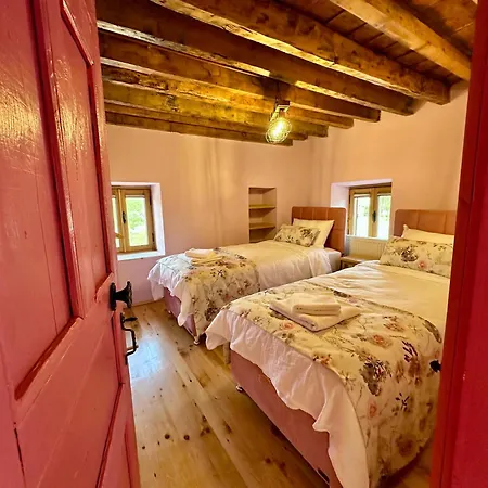 Apartman Kus Tuenegi *